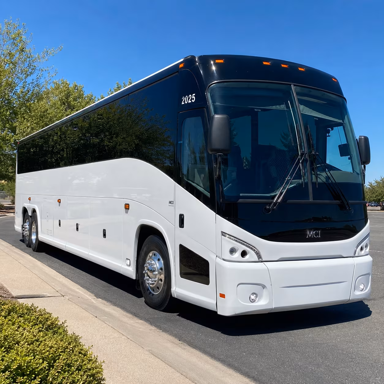 catch every wild adventures concert series show in style