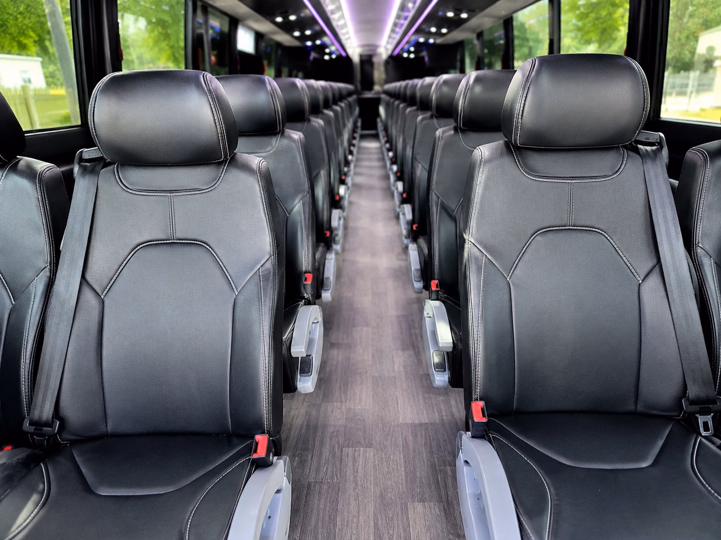 charter buses to wild adventures and south georgia entertainment